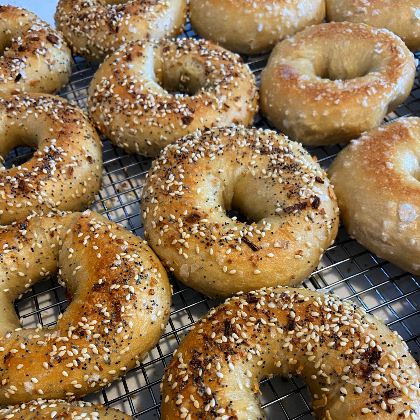 Bagels (3-pack)