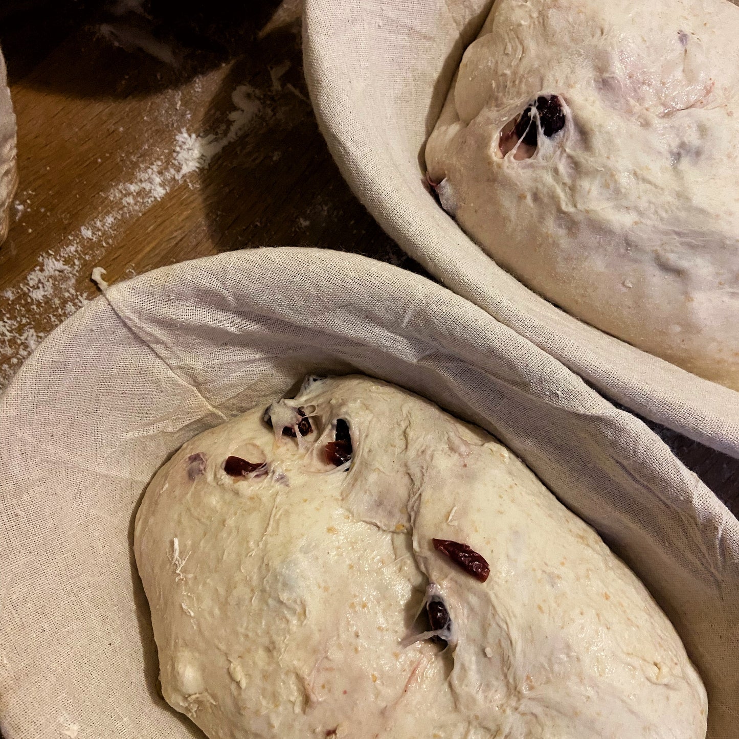 Cranberry Walnut Sourdough