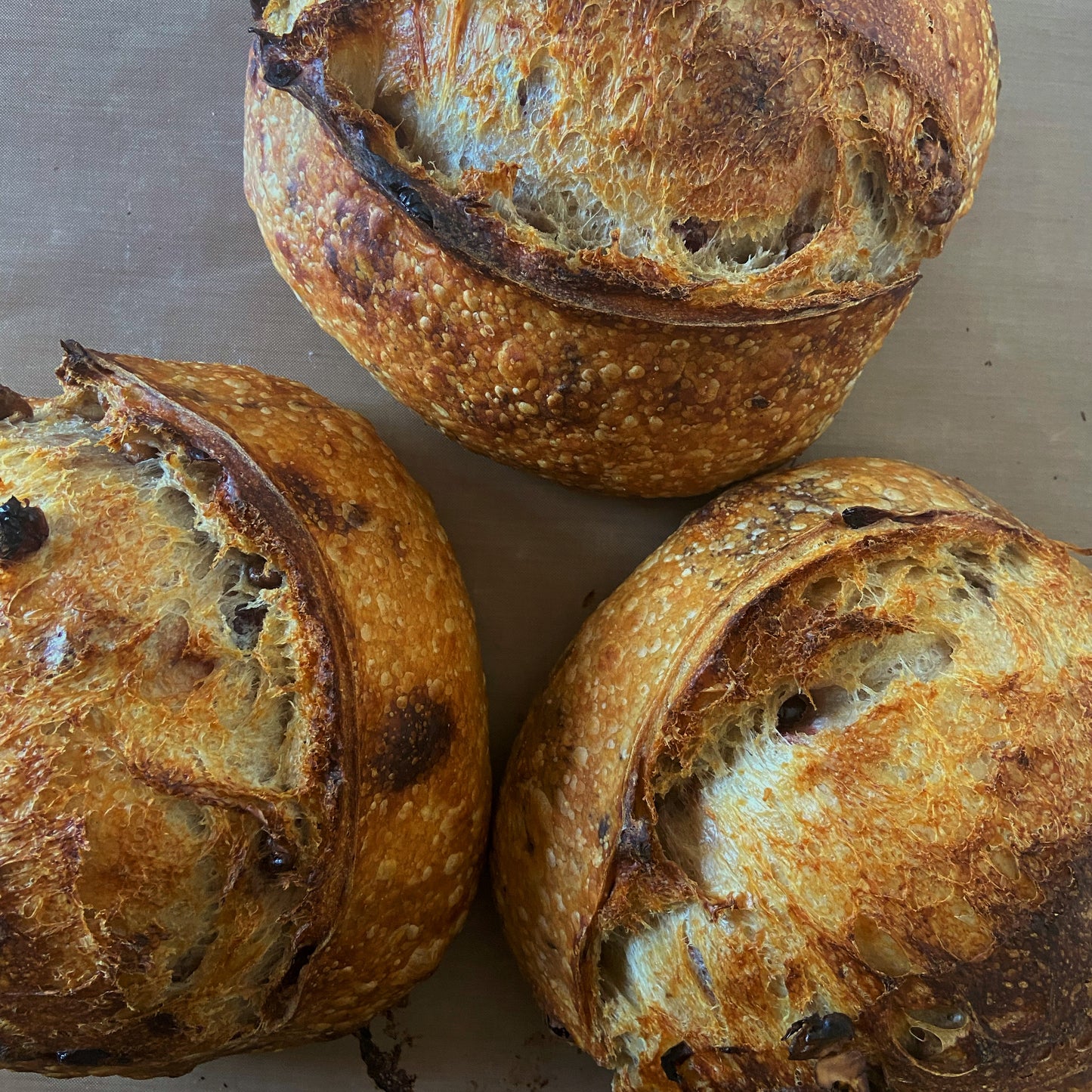 Cranberry Walnut Sourdough