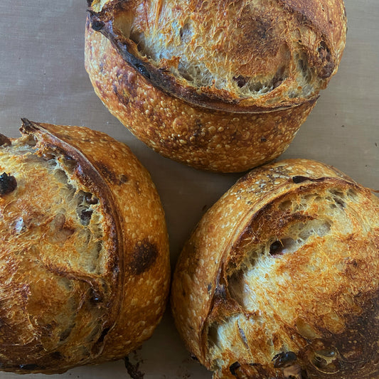 Cranberry Walnut Sourdough
